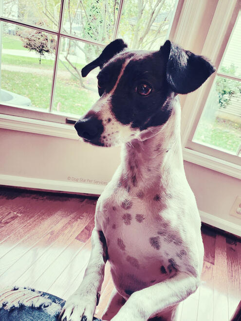 Eleanor